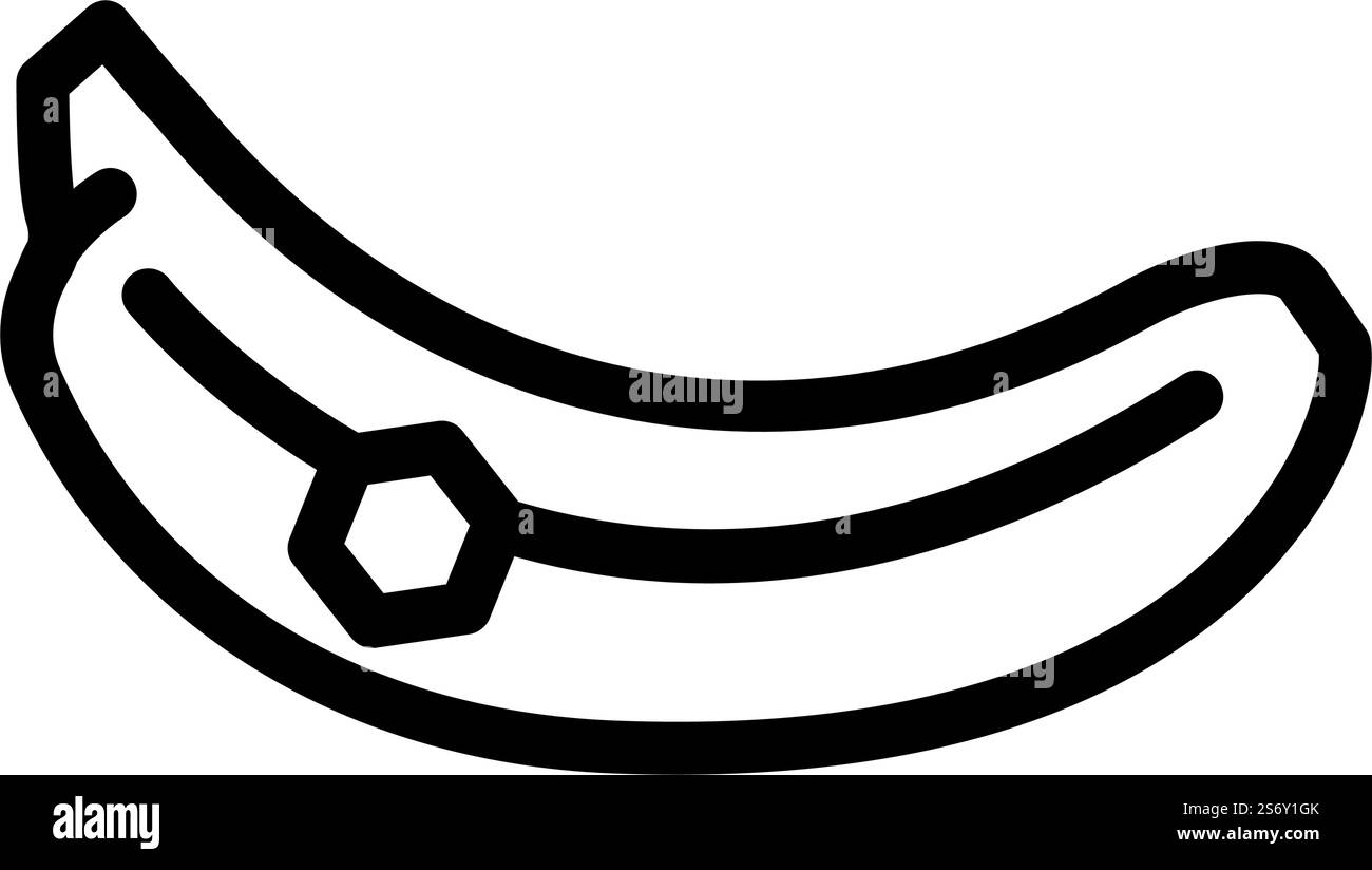 Ganzer Bananenlinien-Icon-Vektor. Ganzer Bananenschild. Schwarze Abbildung des isolierten Kontursymbols. Ganze Bananenlinie Symbol Vektor Illustration Stock Vektor