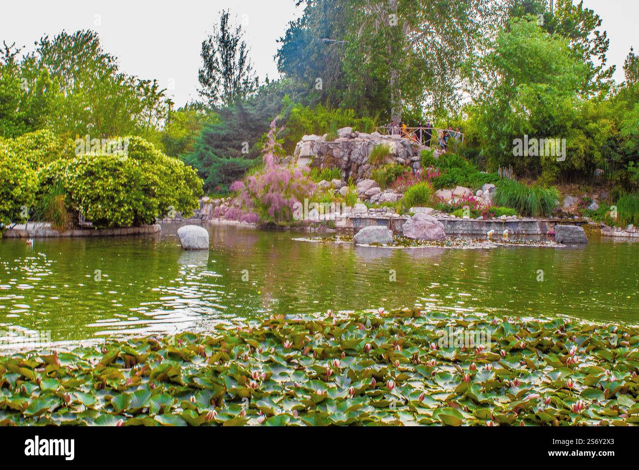 Das ist ein Blumengarten. Das ist der beste Ort, um jede Blume aus der ganzen Welt zu sehen. Die ganze Schönheit der 4he Welt ist hier im Frühling. Stockfoto