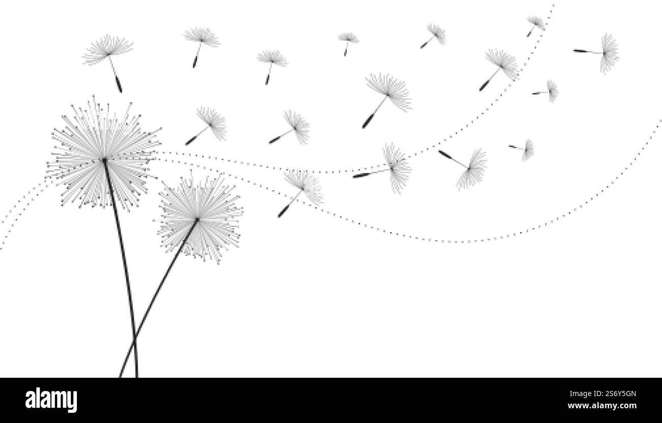 Fliegende Elendelion Samen Blume Hintergrund Stock Vektor