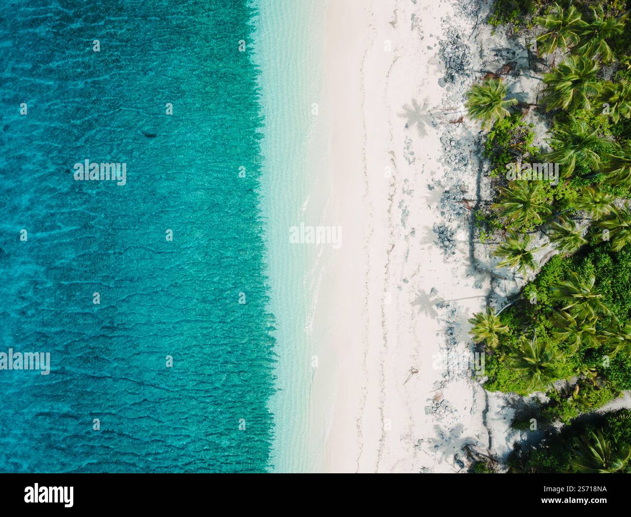 Von oben nach unten auf die Küste auf den Malediven. Blaues kristallklares Wasser und Sandstrand auf einer paradiesischen tropischen Insel. Stockfoto