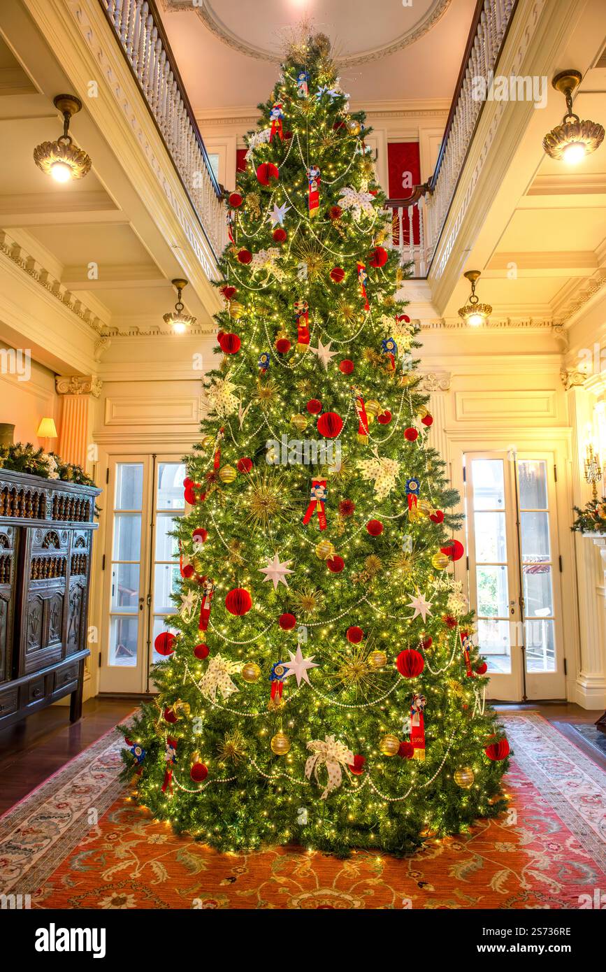 Geschmückter Weihnachtsbaum Stockfoto