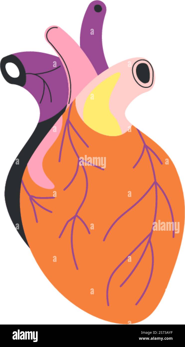 Organe und Teile des menschlichen Körpers, isolierte, realistische Herzensfigur. Biologie- und Anatomiemodell für Studien- und Bildungszwecke. Gesundheit und Medizin, funktionierende Arterien. Vektor in abgewickelter Form. Menschliches Herzorgan, realistischer Körperteilvektor Stock Vektor