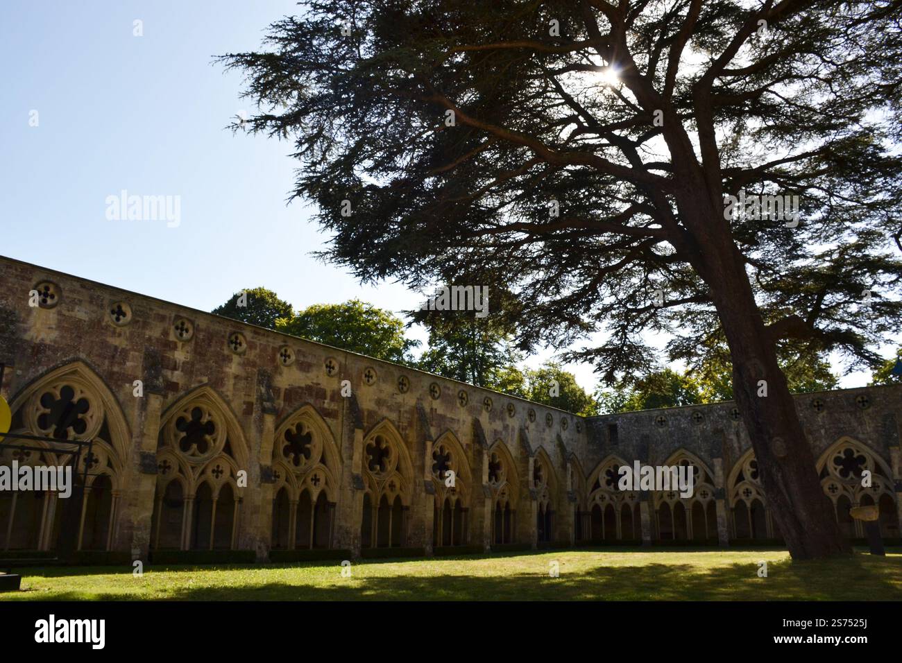 Die Kreuzgänge der Kathedrale von Salisbury, Kirche der Heiligen Jungfrau Maria in Wiltshire, Großbritannien Stockfoto