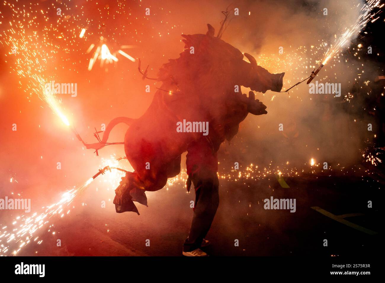 Barcelona, Spanien. Januar 2025. Barcelona, Spanien: Ein höllisches Schwein explodiert Pyrotechnik an den Straßen während der Feier eines Korrefoc, bekannt als La Porkada, anlässlich des El Clot Quarter Winterfestivals in Barcelona. Correfocs sind eine alte katalanische Tradition, in der sich die Menschen als Teufel kleiden und Feuerwerkskörper und Fackeln anfeuern. Quelle: Jordi Boixareu/Alamy Life News Stockfoto