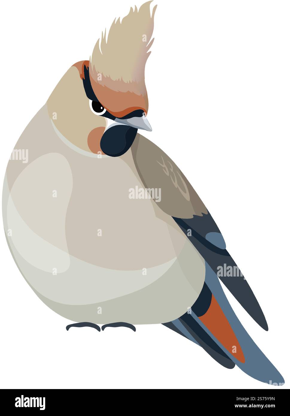 Vogeltiere mit Gefieder, isolierter singvogel mit bunten Federn an Körper und Schwanz. Arten von Wäldern oder natürlichen Lebensräumen, Porträt wilder Naturarten. Vektor in abgewickelter Darstellung. Vogelarten, Singvögel, Vogeltiere mit Gefieder Stock Vektor