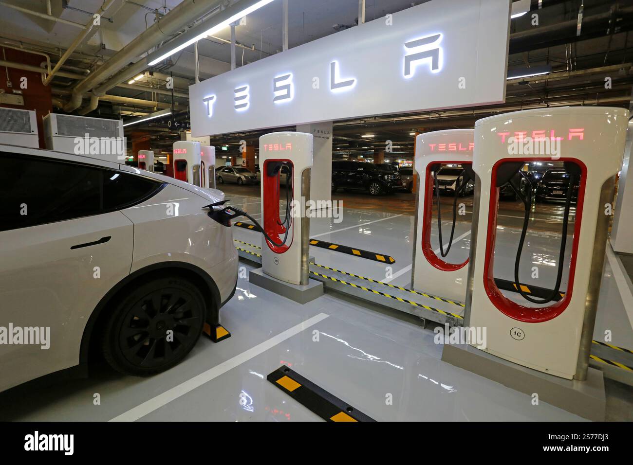 Bangkok, Thailand - 17. Februar 2023: Ein Tesla Elektroauto wird an der neuen Tesla EV-Kompressorstation in Centralworld Shopping aufgeladen Stockfoto