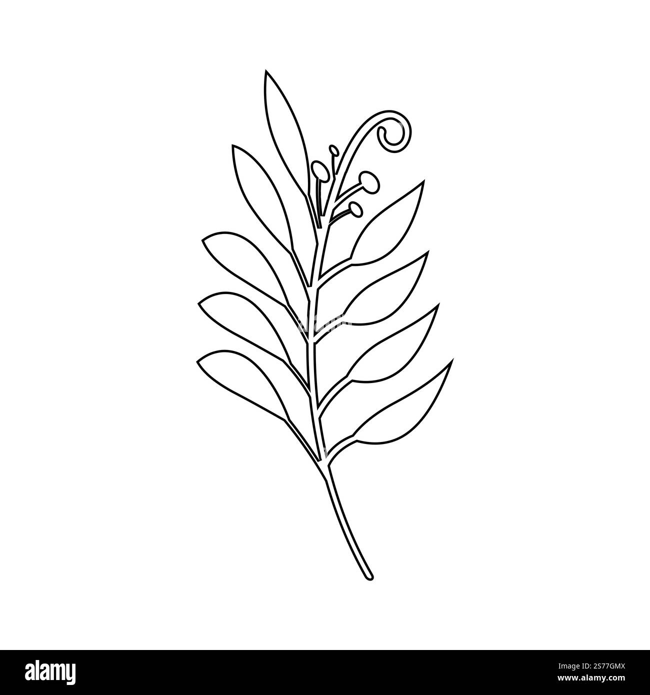 Grün hinterlässt Botanical Logo Vektor- und Symboldesign Stock Vektor