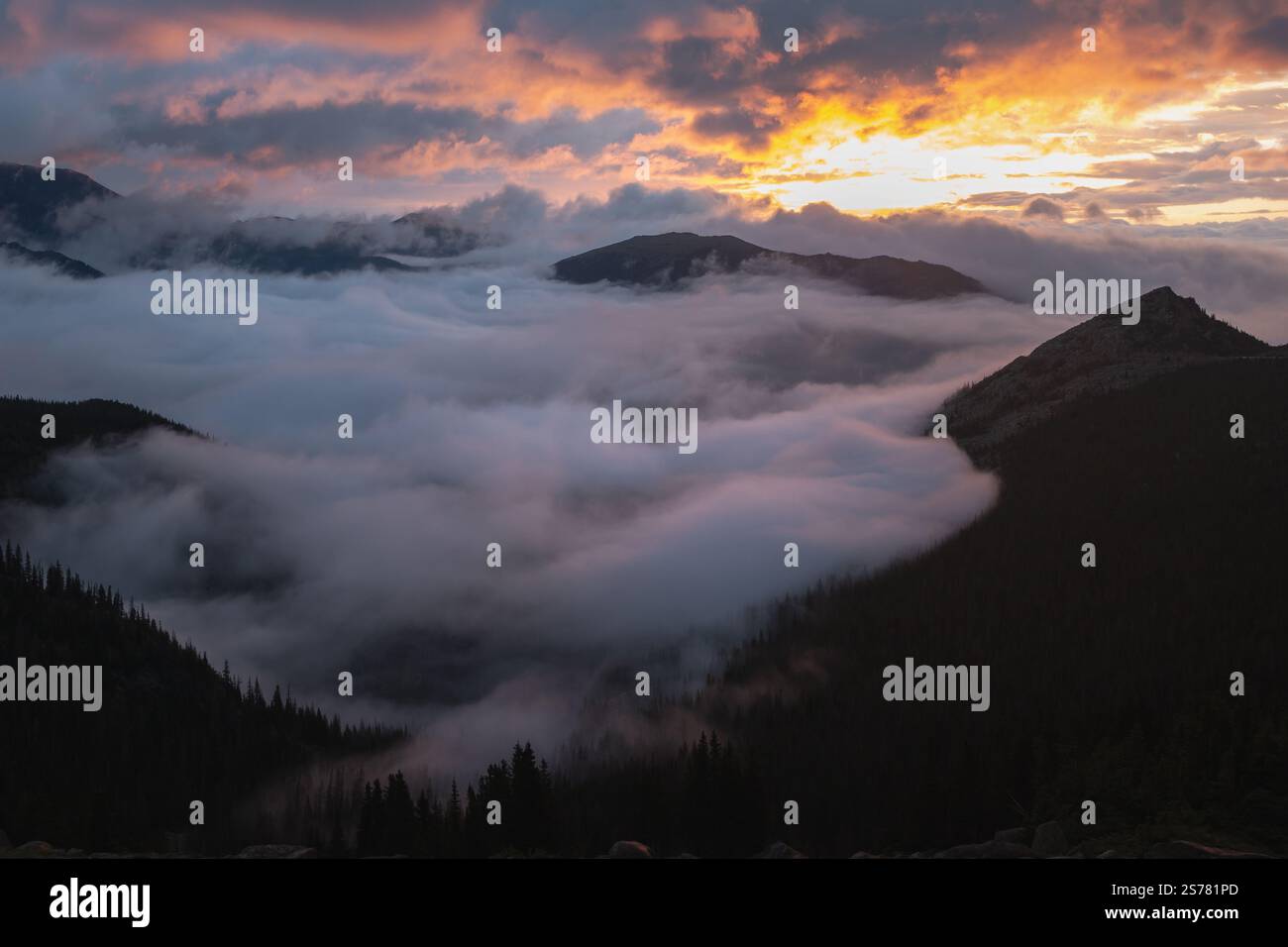 Rocky Mountain Nationalpark bei Sonnenaufgang, mit majestätischen Gipfeln, die über den Wolken ragen. Eine atemberaubende Szene, die perfekt für Landschaftsfotografie ist. Stockfoto