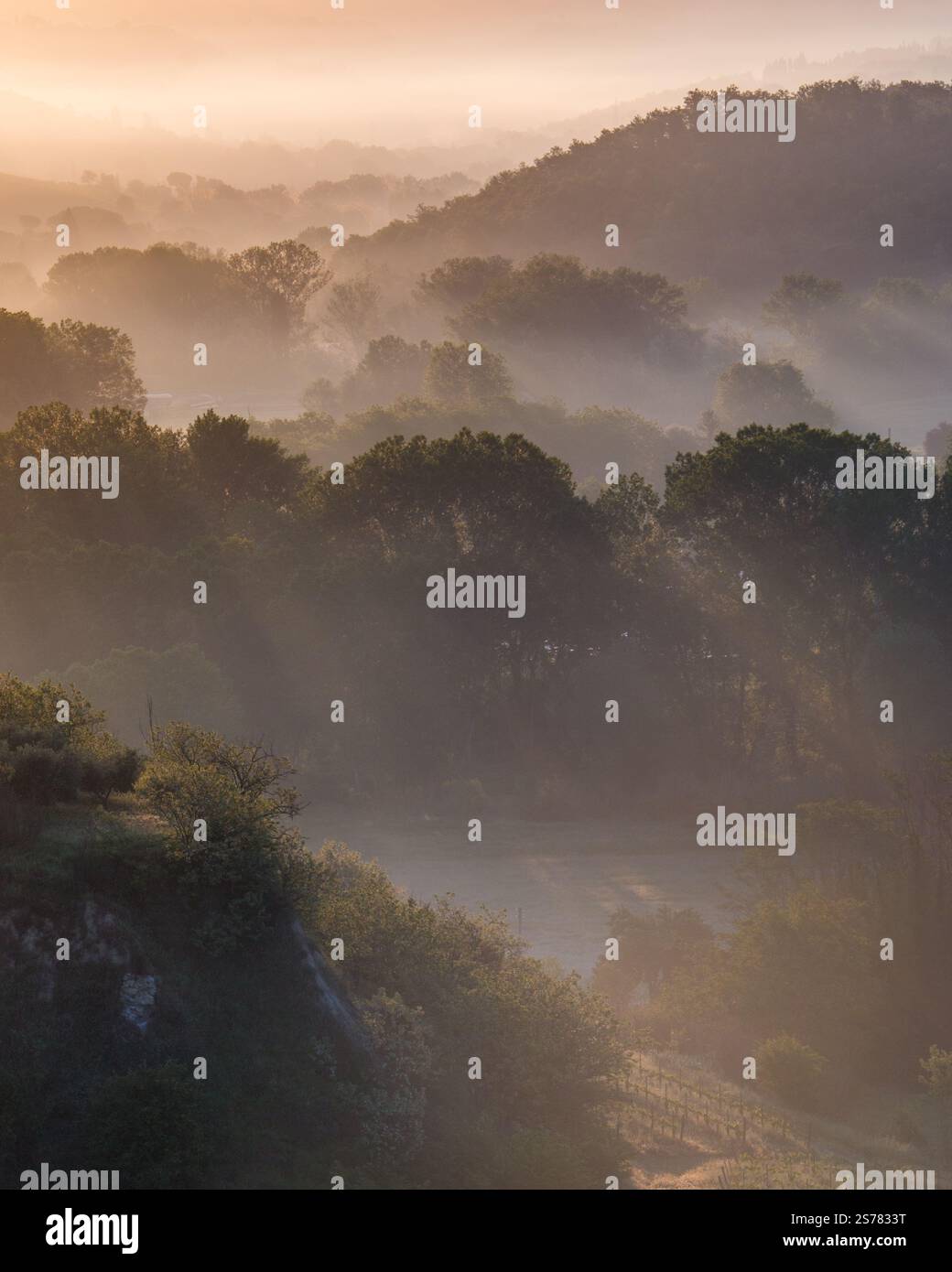 Eine toskanische Landschaft im Morgennebel mit Sonnenstrahlen, sanften Schatten und üppiger Landschaft. Ein ruhiger und zeitloser Blick auf die italienische Landschaft. Stockfoto