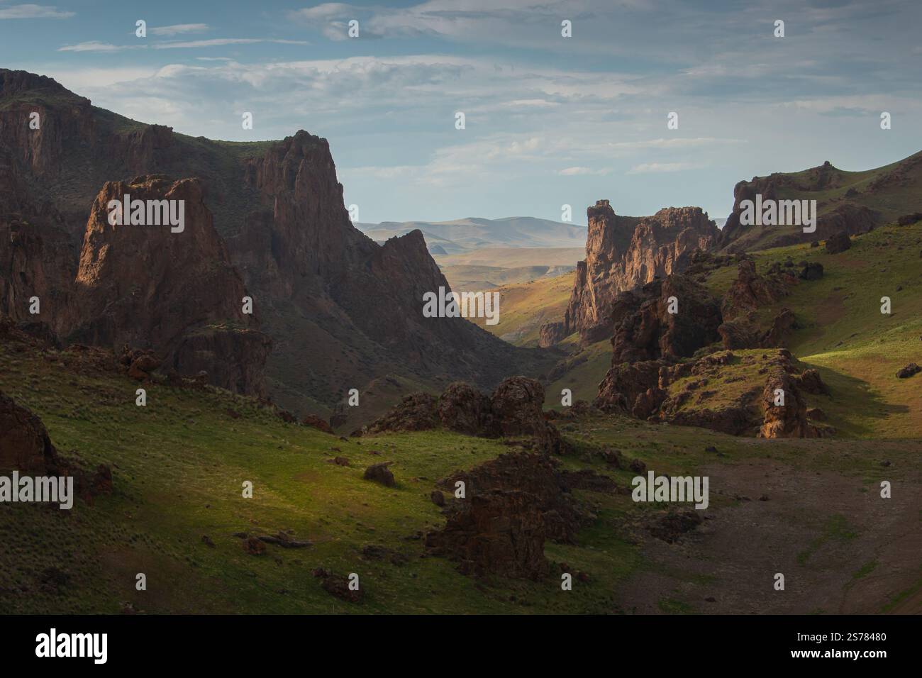 Ein malerischer Blick auf die Ebenen und Graslandschaften von Oregon mit weiten, offenen Feldern und natürlicher Schönheit. Eine ruhige und zeitlose Naturlandschaft. Stockfoto
