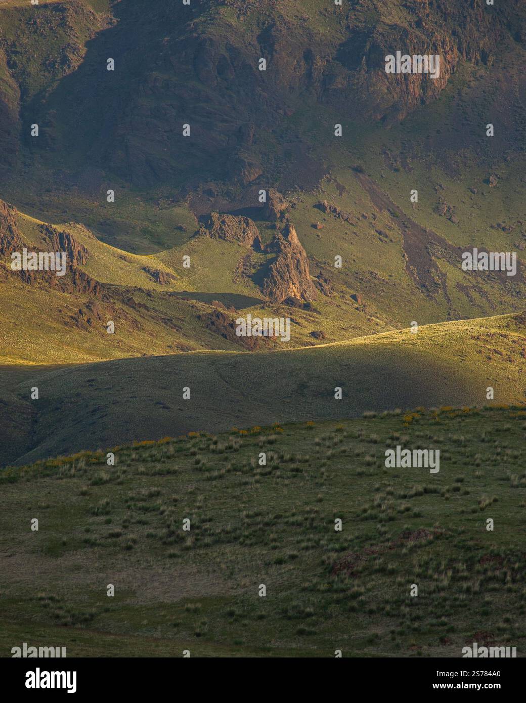 Ein Blick auf die Ebenen und Graslandschaften von Oregon mit weiten, offenen Feldern und natürlicher Schönheit. Eine ruhige und zeitlose Naturlandschaft. Stockfoto