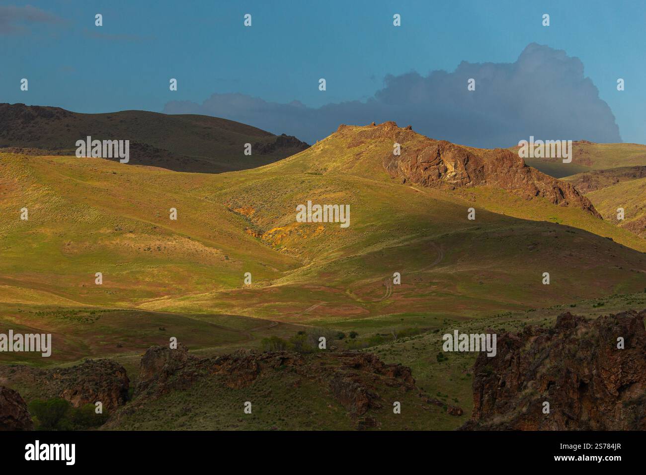 Ein malerischer Blick auf die Ebenen und Graslandschaften von Oregon mit weiten, offenen Feldern und natürlicher Schönheit. Eine ruhige und zeitlose Naturlandschaft. Stockfoto