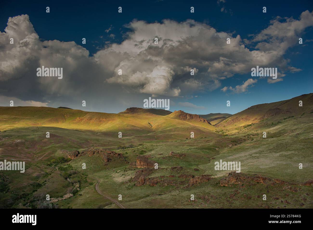 Ein malerischer Blick auf die Ebenen und Graslandschaften von Oregon mit weiten, offenen Feldern und natürlicher Schönheit. Ein blauer Himmel und dramatische Wolken. Stockfoto