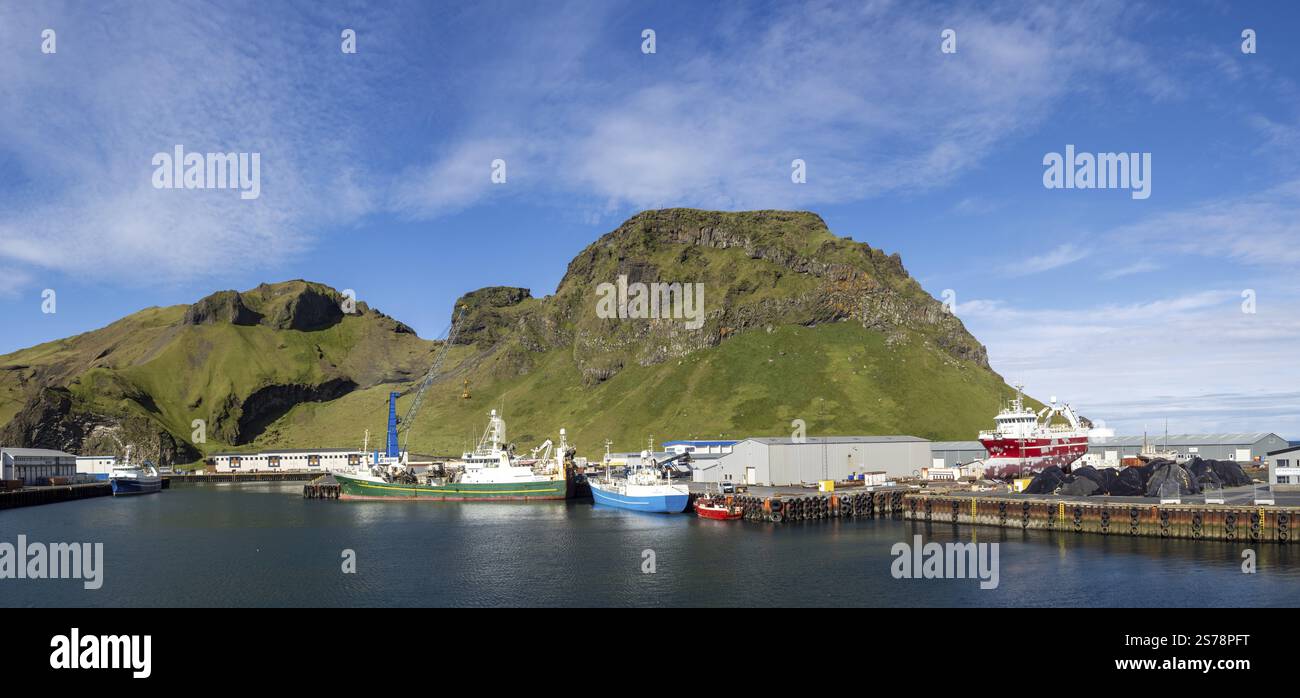 Trawler und Fischerboote im Hafen, Heimaey, Westman Islands, Island, Europa Stockfoto