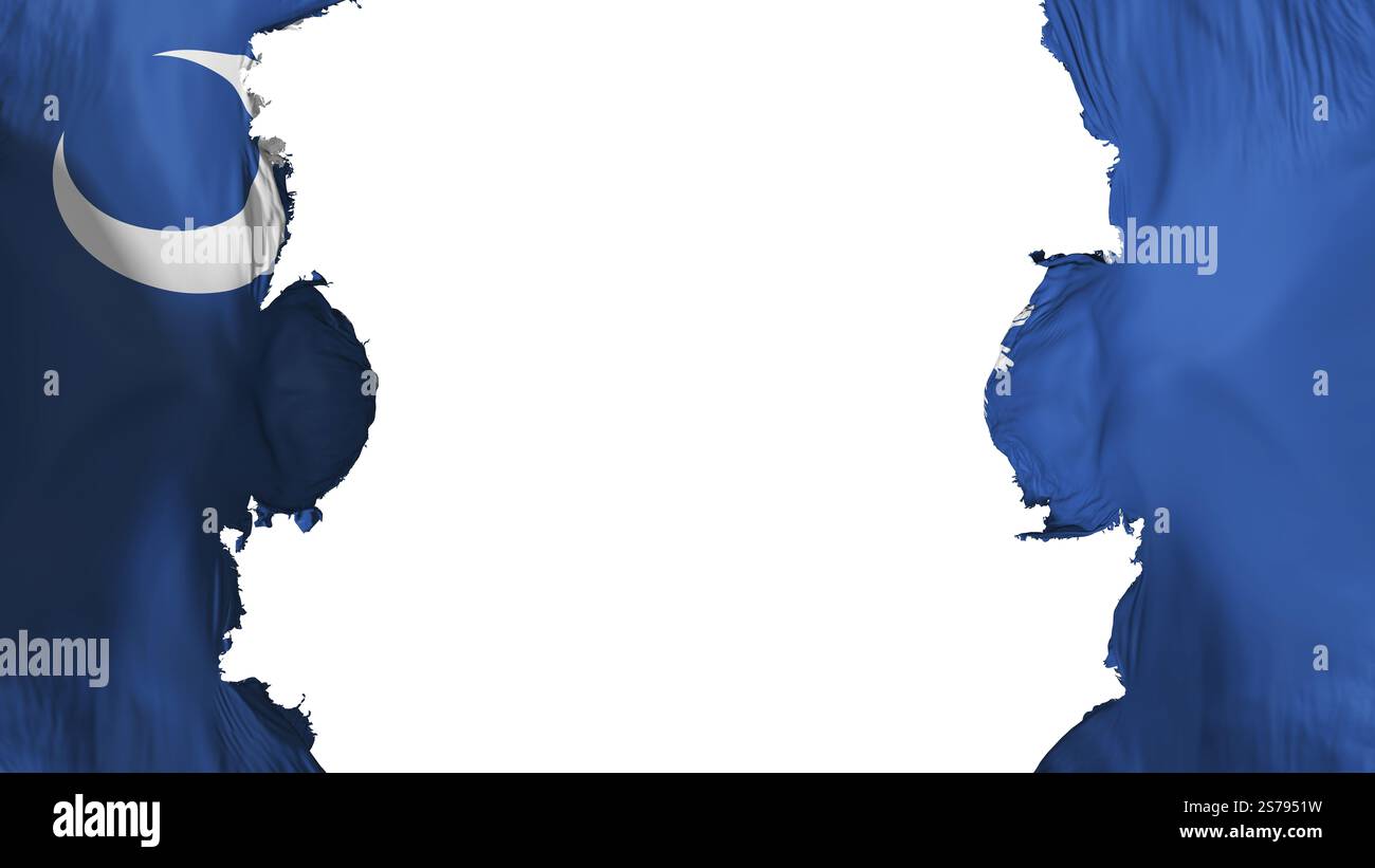 Gesprengte Flagge von South Carolina vor weißem Hintergrund, 3D-Darstellung Stockfoto
