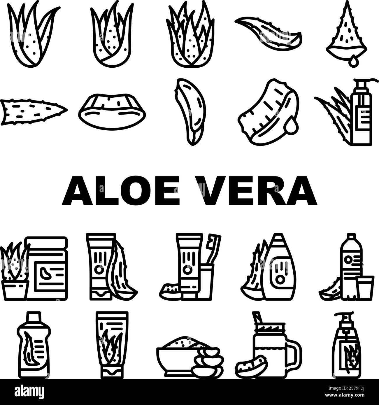 aloe Vera Pflanze Natur grüne Blatt Symbole setzen Vektor. Kräuter Vera, kosmetische Gesundheit, Pflege, Kräuter, gesunde Schönheit, frische Medizin, natürliche Aloe Vera Pflanze Natur grünes Blatt schwarze Kontur Illustrationen. aloe Vera Pflanze Natur grüne Blatt Symbole setzen Vektor Stock Vektor