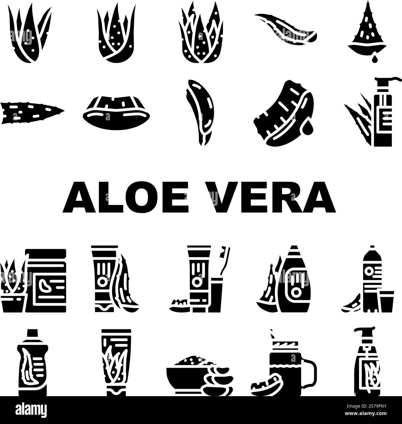 aloe Vera Pflanze Natur grüne Blatt Symbole setzen Vektor. Kräuter Vera, kosmetische Gesundheit, Pflege, Kräuter, gesunde Schönheit, frische Medizin, natürliche Aloe Vera Pflanze Natur grüne Blatt Glyphen Piktogramme Illustrationen. aloe Vera Pflanze Natur grüne Blatt Symbole setzen Vektor Stock Vektor