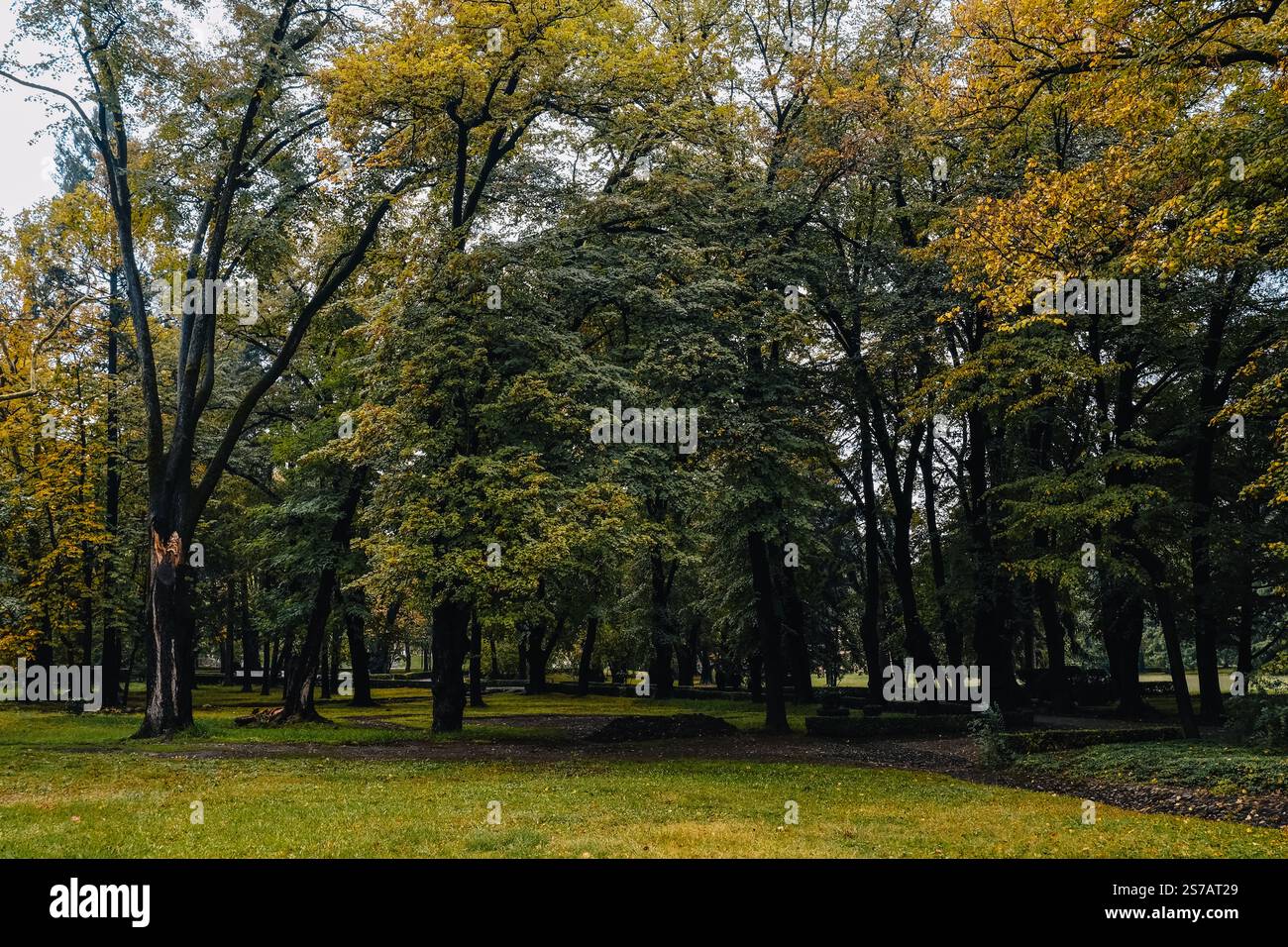 Der Park und Garten des Tsinandali Estate in Kakheti (Georgien) im Herbst, mit Herbstlaub Stockfoto