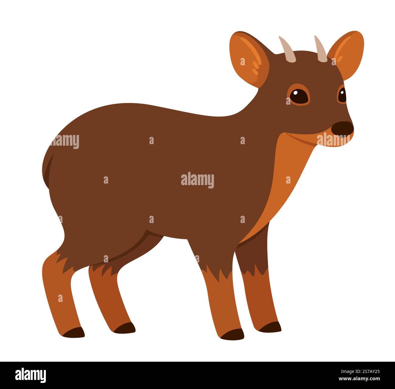 Pudu, kleiner südamerikanischer Hirsch. Niedliche Zeichentrickzeichnung, Vektorillustration. Stock Vektor