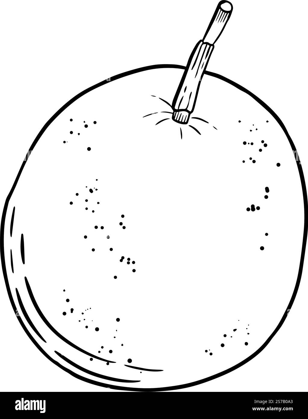 Eine wunderschön schlichte Liniendarstellung eines einzelnen Apfels mit Stiel, ideal für zahlreiche Designprojekte. Handgezeichnete Grafiken für die Gestaltung von Websites, Artikeln, Broschüren, Etiketten oder Werbung. Stock Vektor