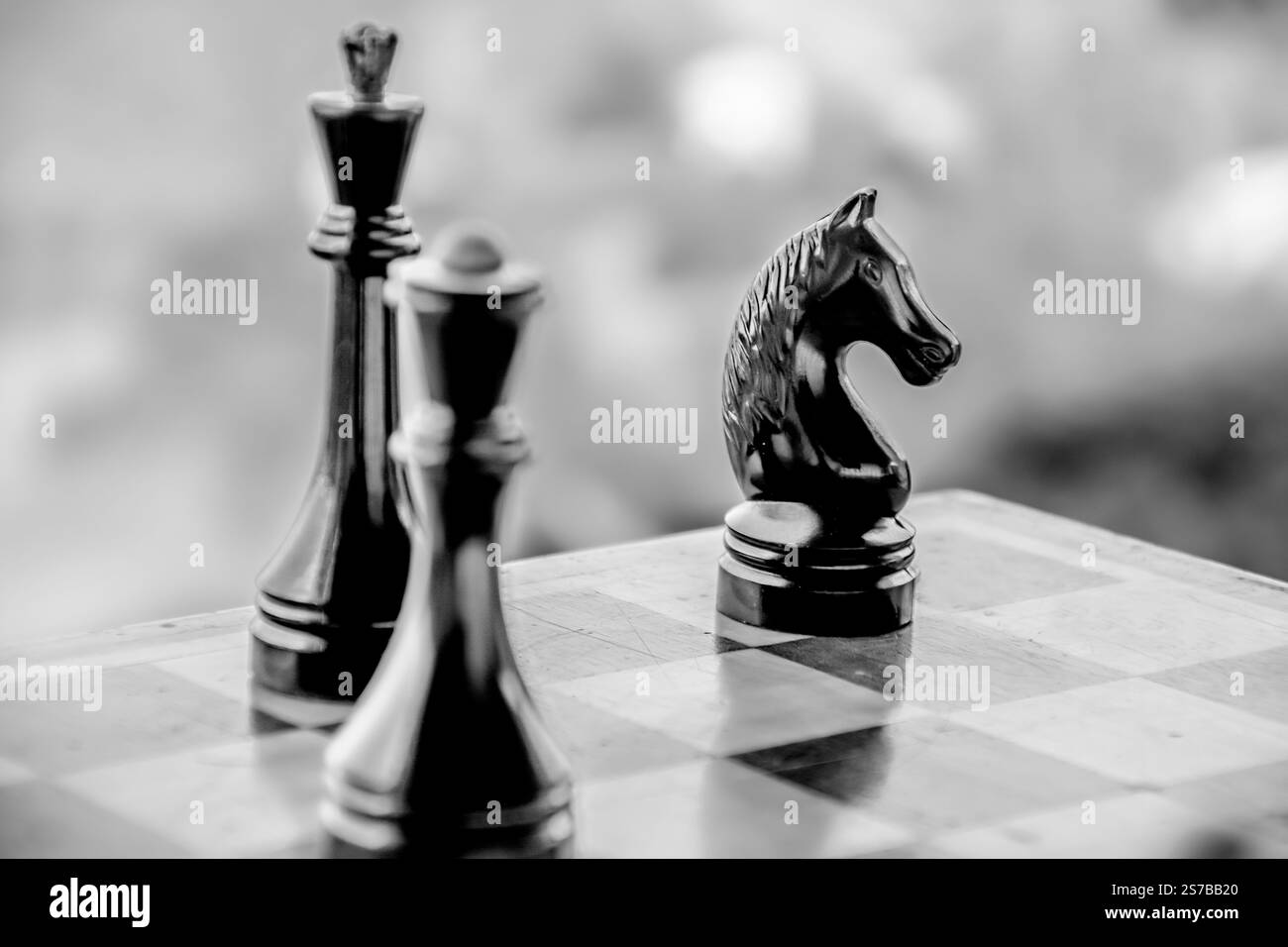 Schachbrett. Schachspiel. Schachfiguren - König, Königin, Königin, Rook, Bischof, Ritter, Pawn. Brettspiel. Schachfiguren, Design, Druckset Stockfoto