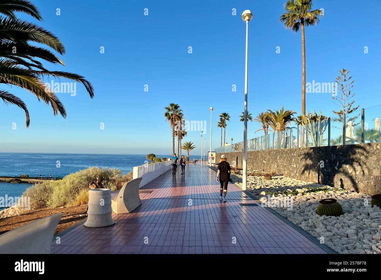 Abschnitt der von Palmen gesäumten Promenade an der Küste der Costa Adeje bei Playa de Fanabe. Teneriffa, Kanarische Inseln, Spanien. Januar 2025. Stockfoto