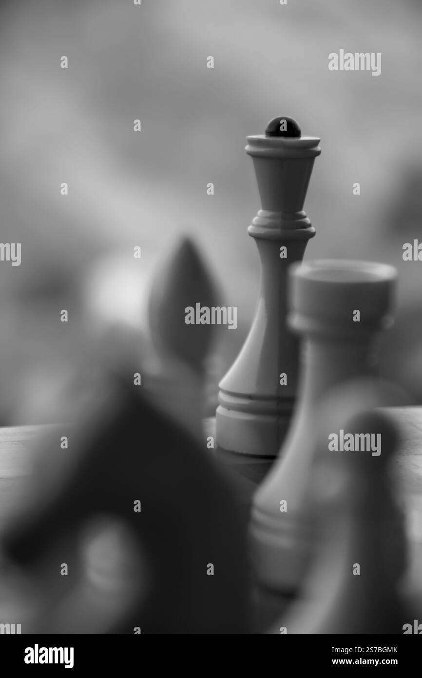 Schachbrett. Schachspiel. Schachfiguren - König, Königin, Königin, Rook, Bischof, Ritter, Pawn. Brettspiel. Schachfiguren, Design, Druckset Stockfoto