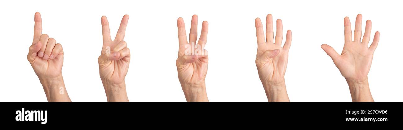 Handgesten zählen. Zerknitterte ältere menschliche Hand mit Zahlen 1 bis 5, Grautöne, Kommunikationskonzept, angezeigte Ziffern. Isoliert am Stockfoto