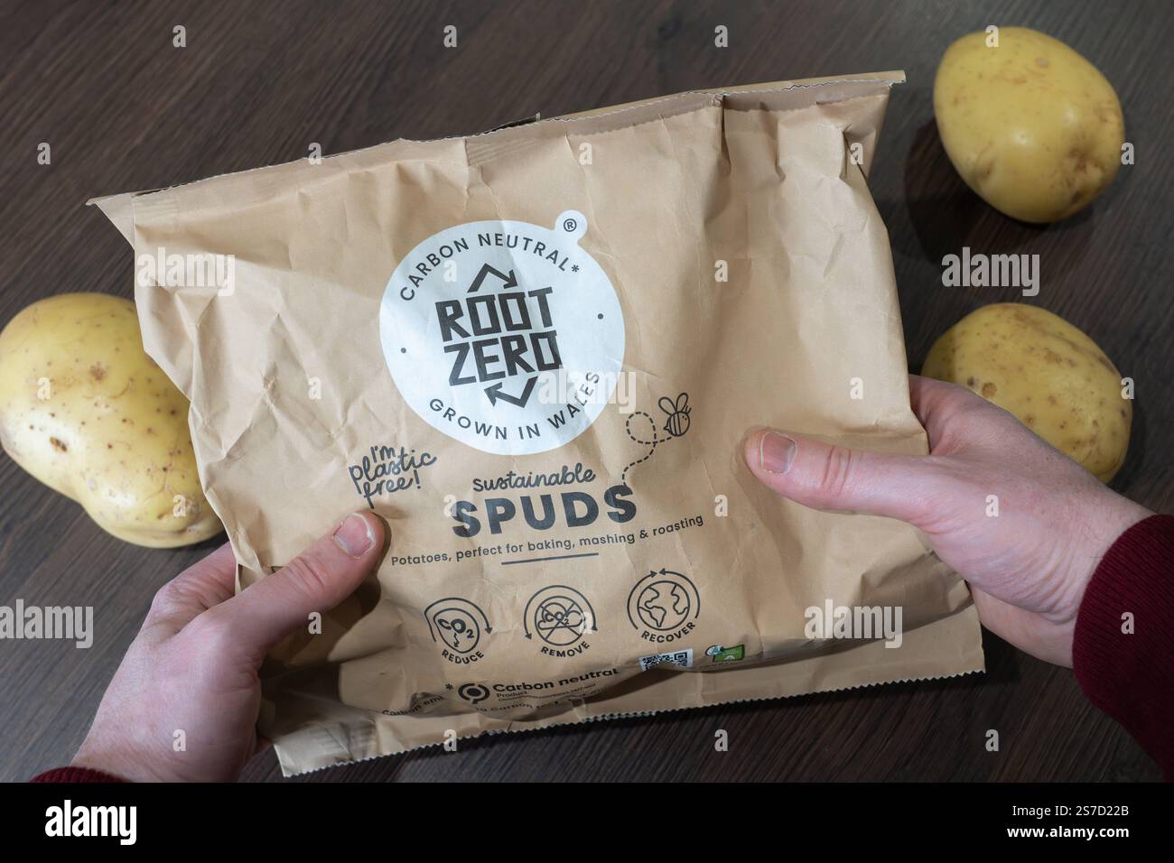 Mann mittleren Alters mit Wurzel Zero nachhaltige Spuds (Kartoffeln), angebaut in Wales ohne Plastikpapierverpackung und kohlenstoffneutral, Großbritannien Stockfoto