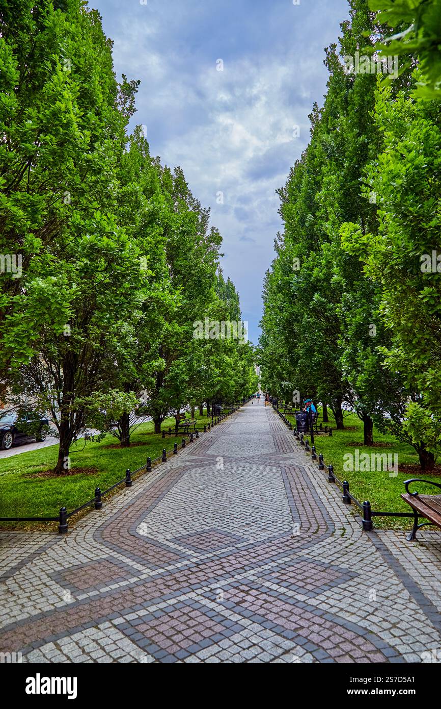 Von Bäumen gesäumter Wanderweg, bekannt als Marcinkowski-Gasse, mit dem Stela Heinza Macka-Denkmal im Hintergrund in der Stadt Posen, Polen Stockfoto Von Bäumen gesäumter Wanderweg, bekannt als Marcinkowski-Gasse, mit dem Stela Heinza Macka-Denkmal im Hintergrund in der Stadt Posen, Polen Stockfoto