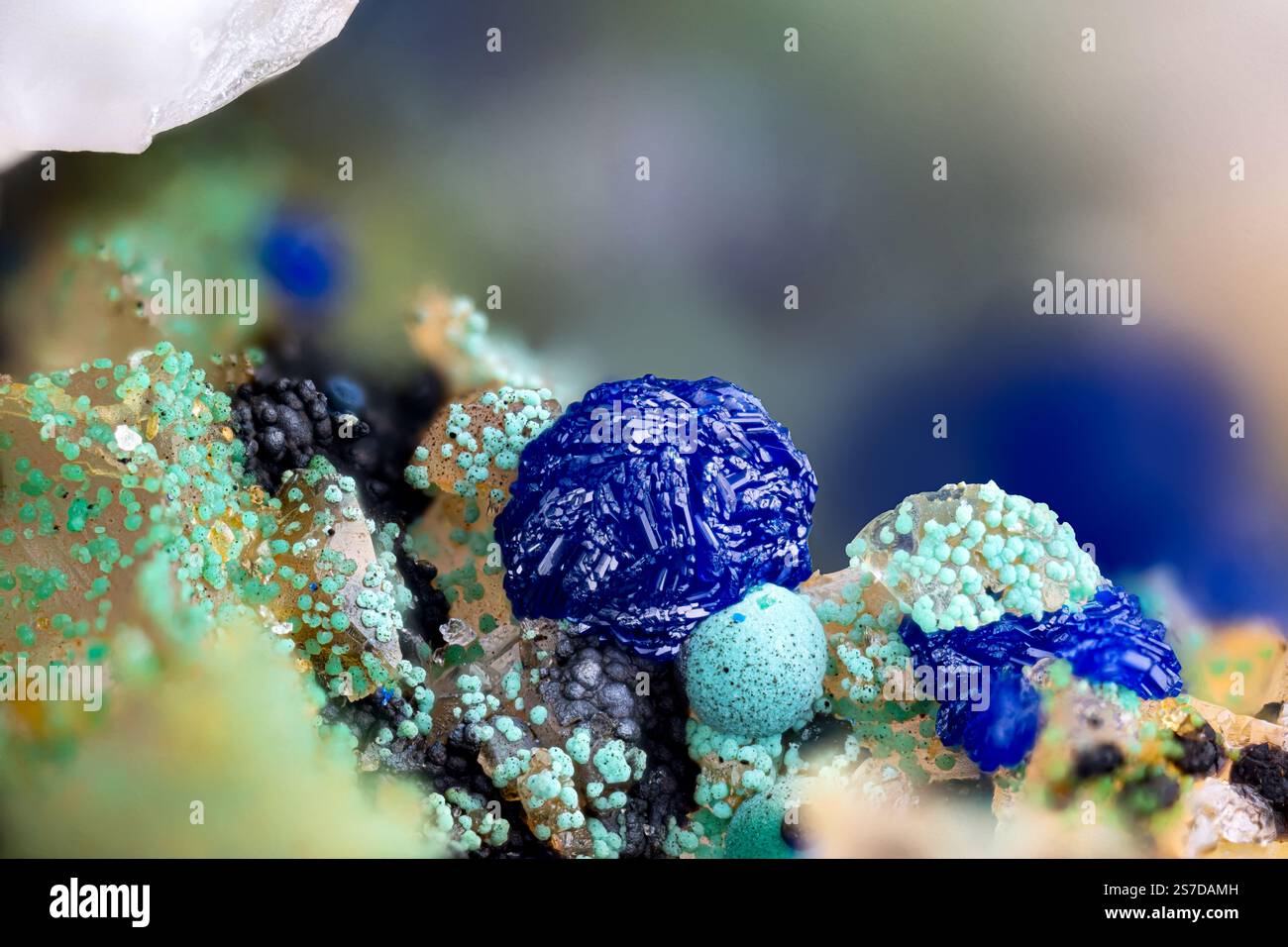 Blauer Azurit mit grünem Malachit auf Quarz. Exemplar aus der clara-Mine, oberwolfach, Deutschland. Mikrofotografie extreme Nahaufnahme. Mikroskop Mineral Stockfoto