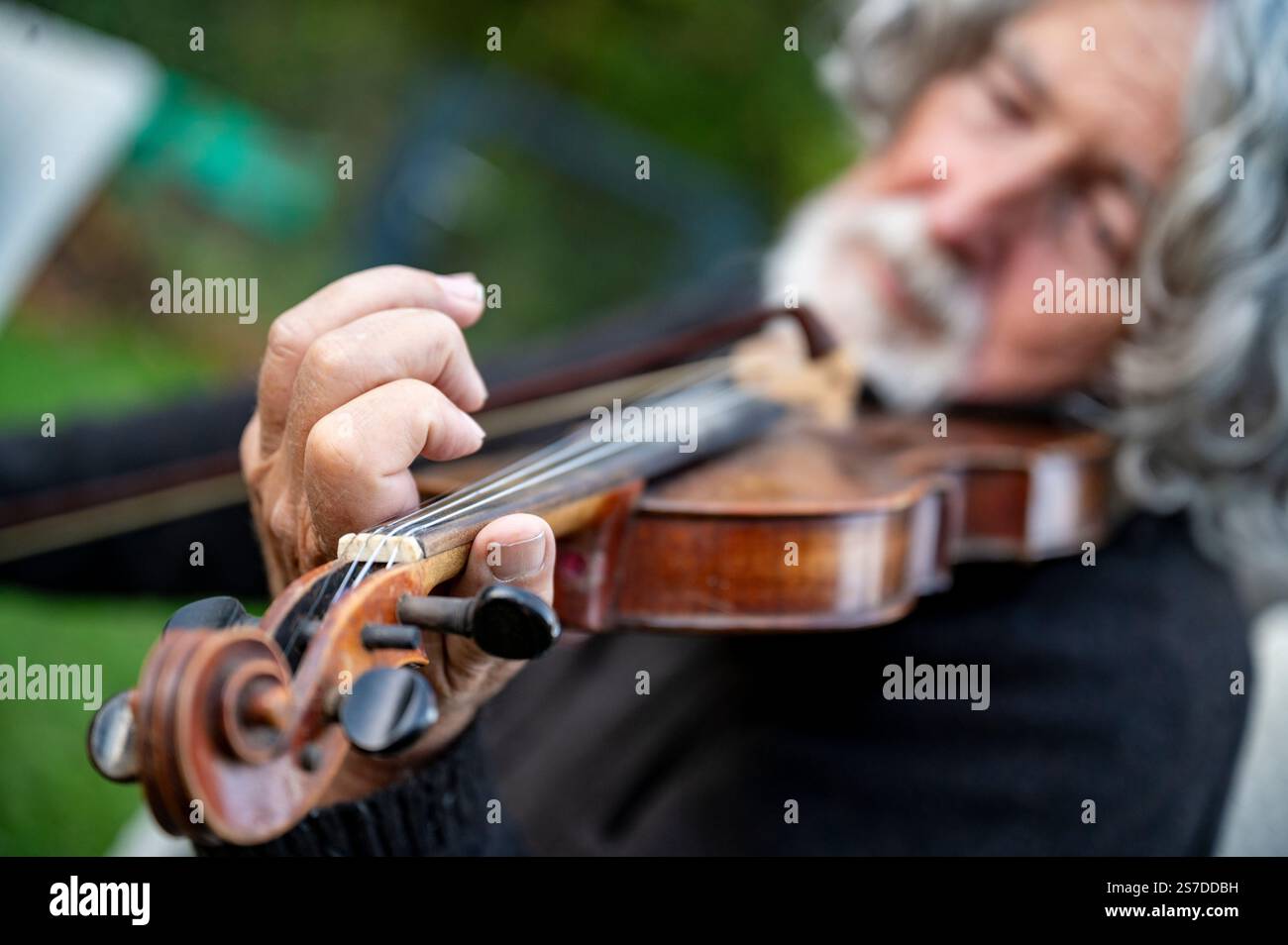 Eine Nahaufnahme einer Hand, die Geige spielt und die Kunst und Leidenschaft des Augenblicks einfängt. Stockfoto