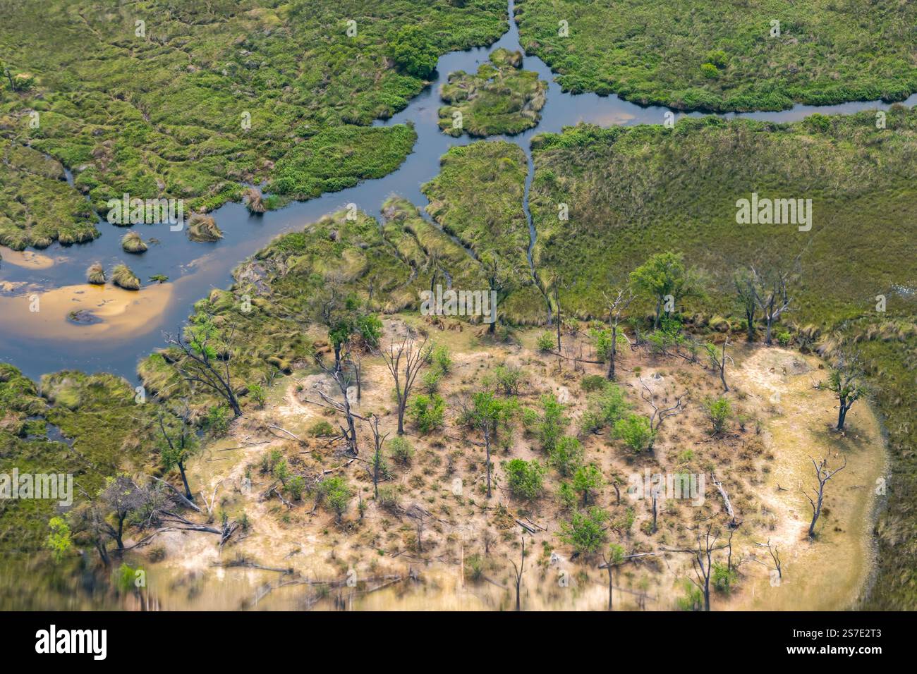 Aus der Vogelperspektive über dem Flusswasser und den Bäumen im Okavanga Delta, Botswana, Afrika Stockfoto