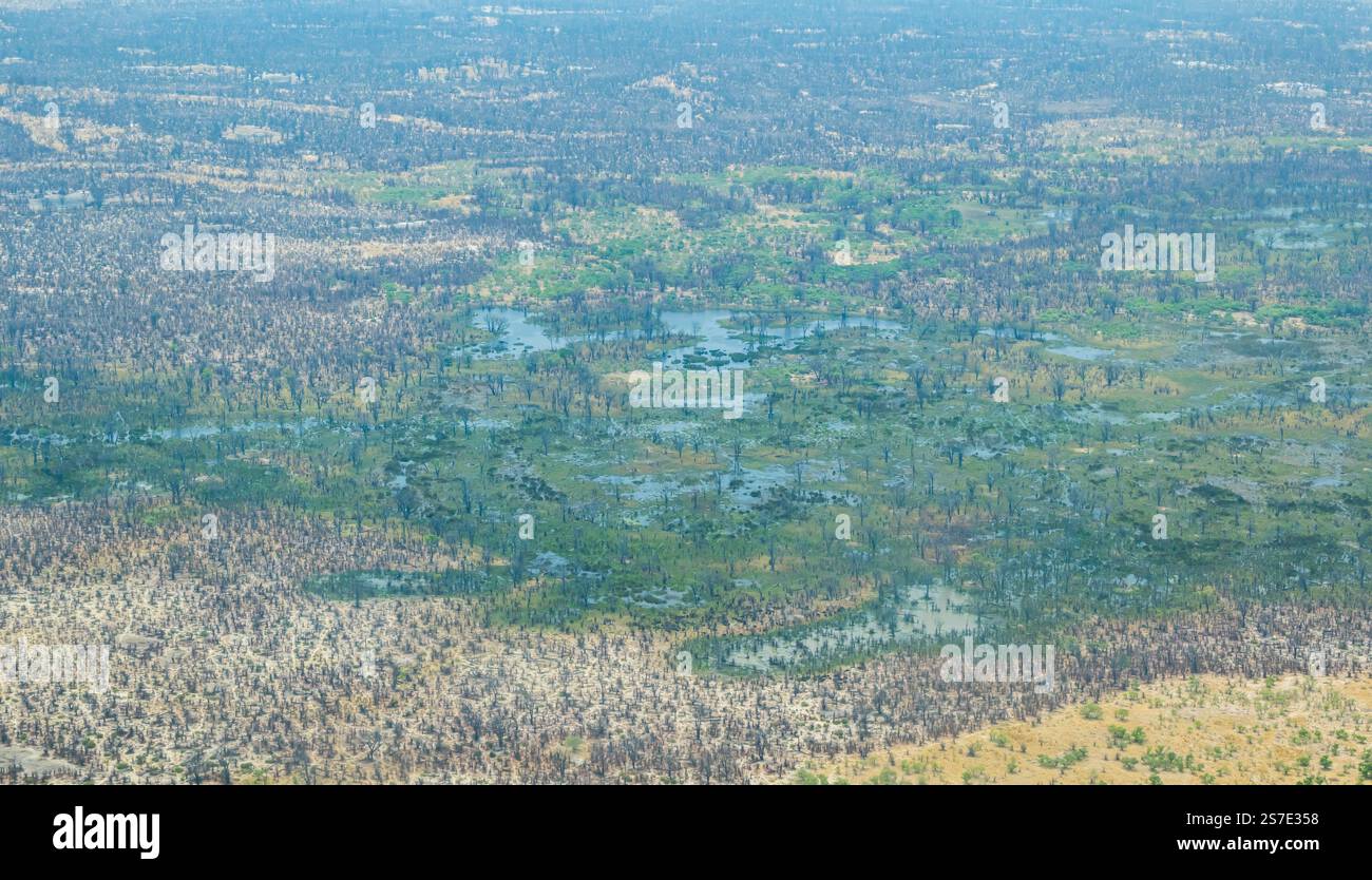 Aus der Vogelperspektive über Wasser und Bäumen im Moremi Wildreservat, Okavanga Delta, Botswana, Afrika Stockfoto