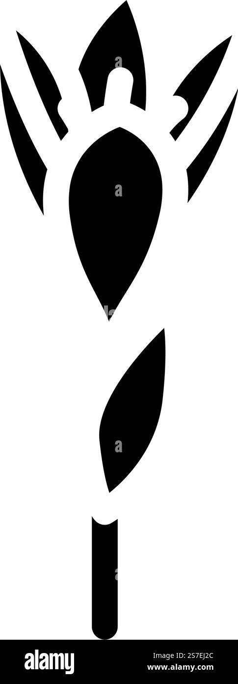 krokusblume Frühling Glyphe Symbol Vektor. krokusblüten-Frühlingsschild. Isolierte Symboldarstellung. crocus Blume Frühling Glyphe Icon Vektor Illustration Stock Vektor