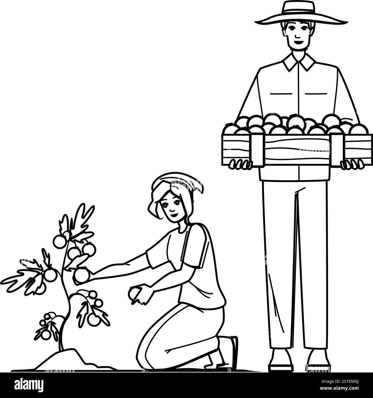 Vektor für die Ernte von Tomaten. Landwirtschaft Frische, Bio-Lebensmittel, Gemüsegarten, rote Pflanze, gesunde Ernte Tomaten Charakter. Abbildung der Menschen. Vektor für die Ernte von Tomaten Stock Vektor