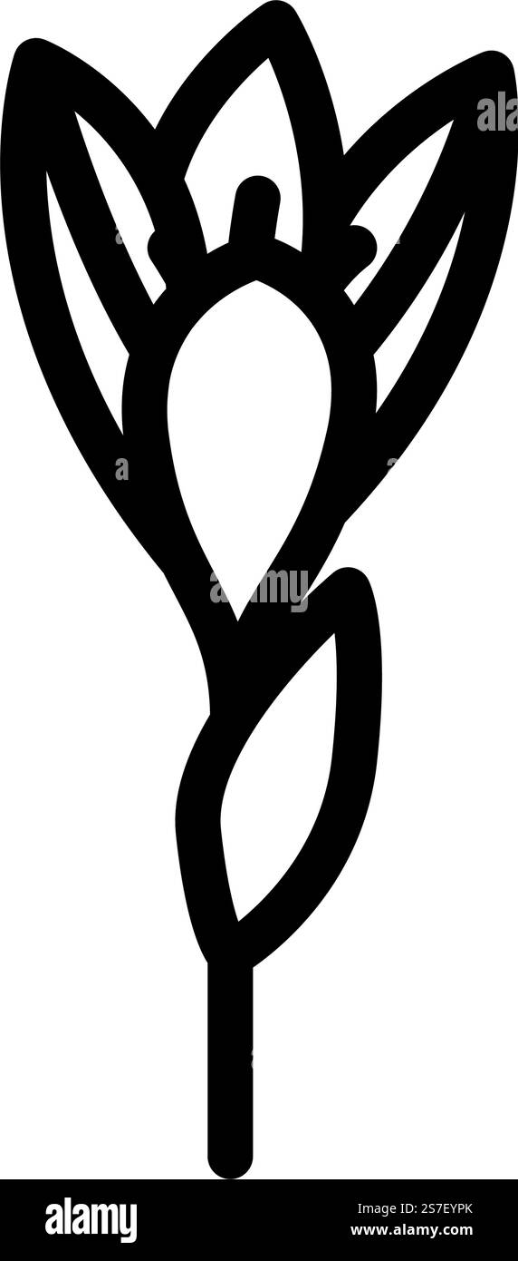 crocus Blume Frühling Linie Symbol Vektor. krokusblüten-Frühlingsschild. Schwarze Abbildung des isolierten Kontursymbols. crocus Blume Frühling Linie Symbol Vektor Illustration Stock Vektor