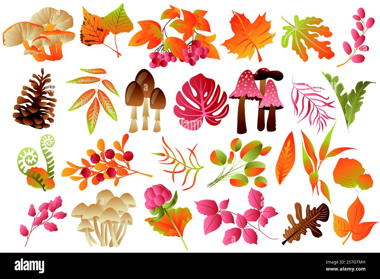 Herbstblätter und Pflanzen isoliert. Verschiedene Arten von Pilzen, Beeren und bunten gefallenen Blättern. Botanische Einrichtung im Wald. Bündel floraler Elemente. Vektorillustration in handgezeichnetem Design Stock Vektor