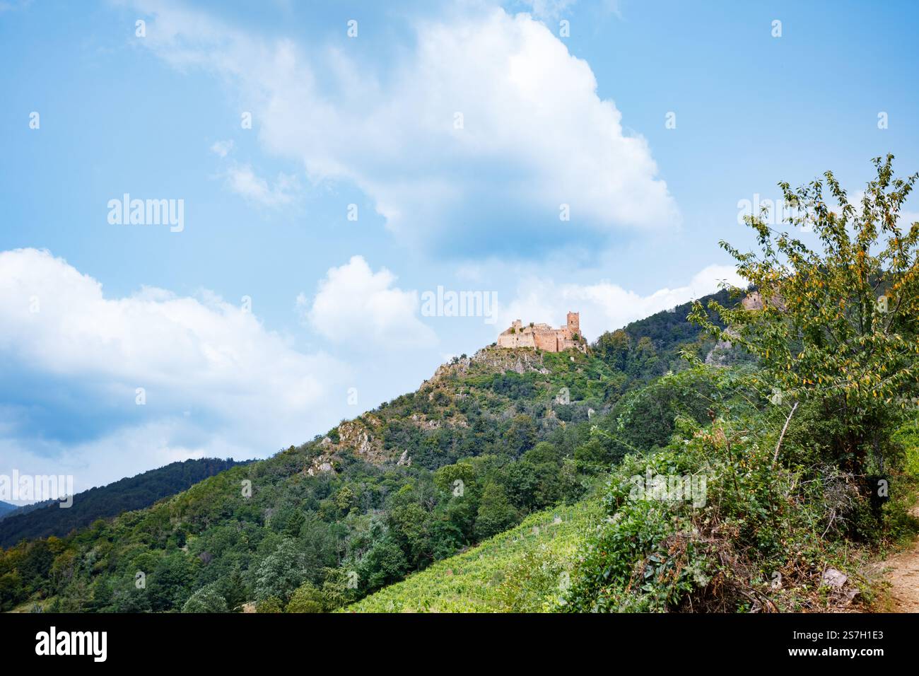 Majestätische Ruinen einer Burg Saint-Ulrich mit Blick auf den Wald in Frankreich Stockfoto