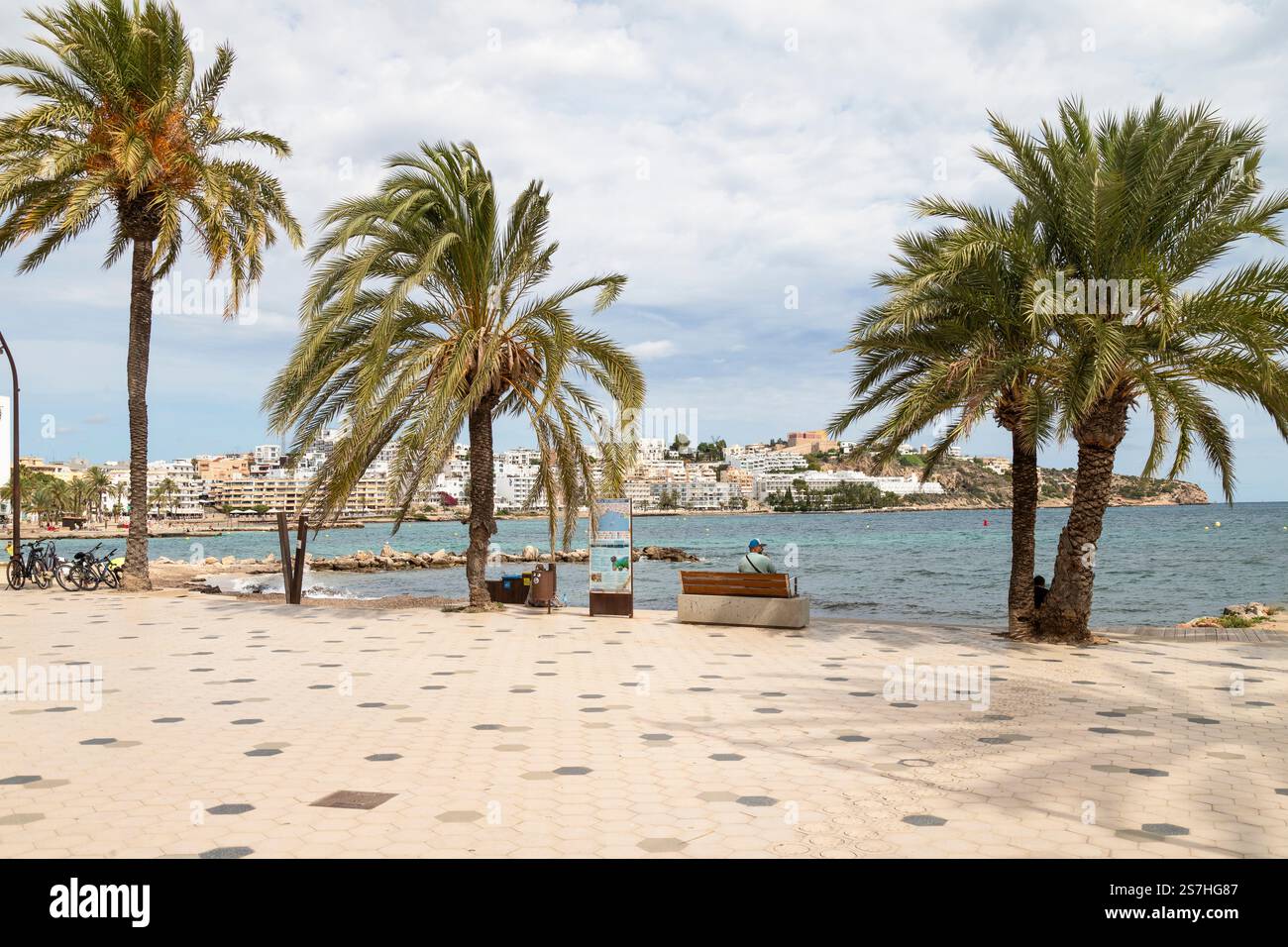 Von Palmen gesäumte Promenade im Badeort SES Figueretes auf Ibiza. Stockfoto
