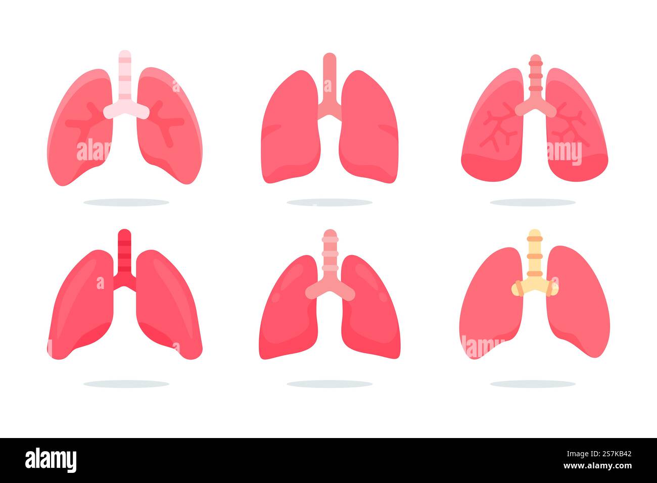 Menschlicher Lungen-Vektor. Die Lungen sind die inneren Organe des Körpers, die beim Atmen helfen. Stock Vektor