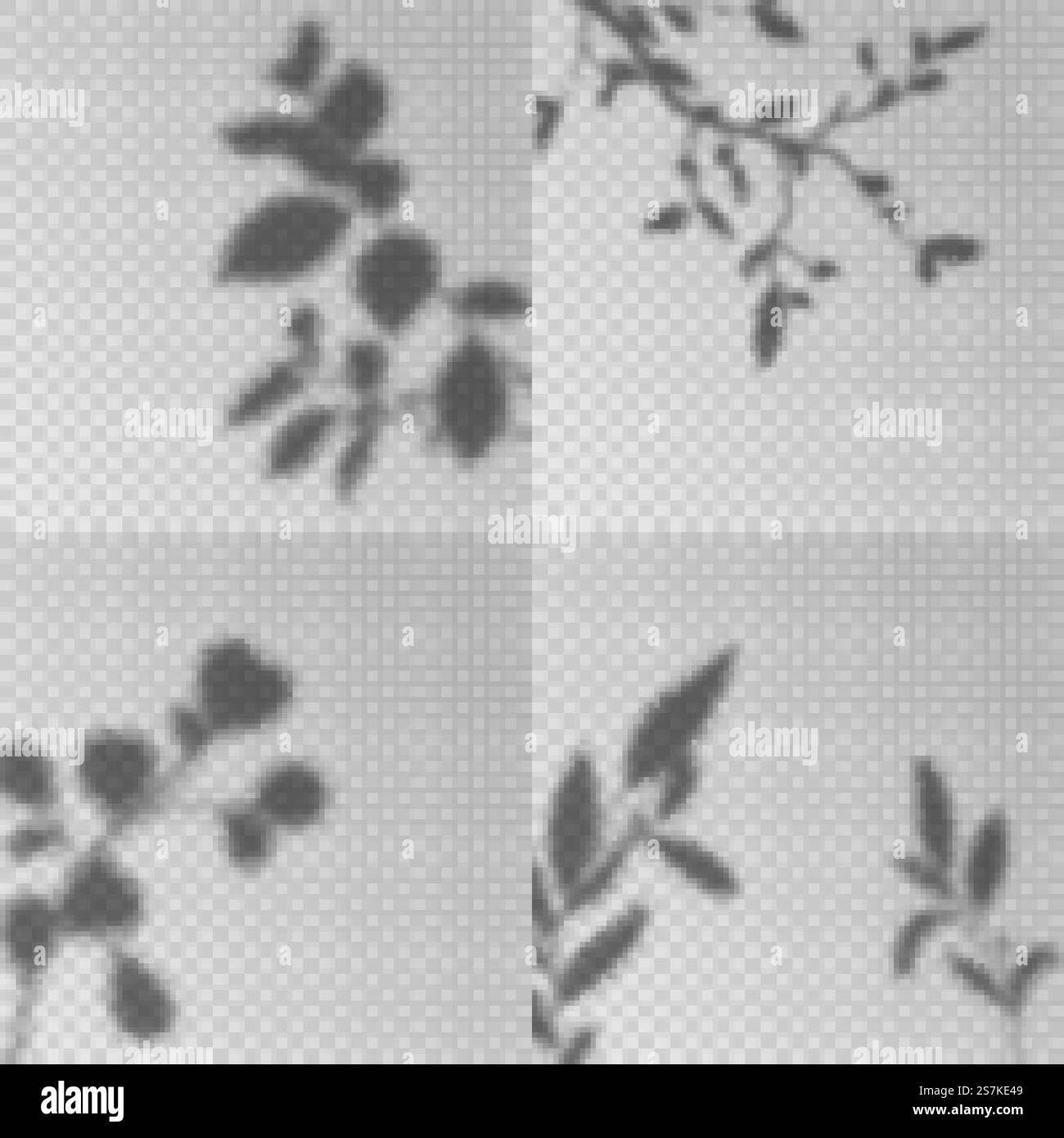 Schatten überlagern. Transparentes weiches Licht, Schatten Blätter und Pflanzenzweige natürlicher Blitz, dekorative Design Elemente kreative Mockup Vektor fotografische florale Textur Set. Schatten überlagern. Transparentes weiches Licht, Schatten Blätter und Pflanzenzweige natürlicher Blitz, dekorative Designelemente kreatives Mockup Vektorset Stock Vektor