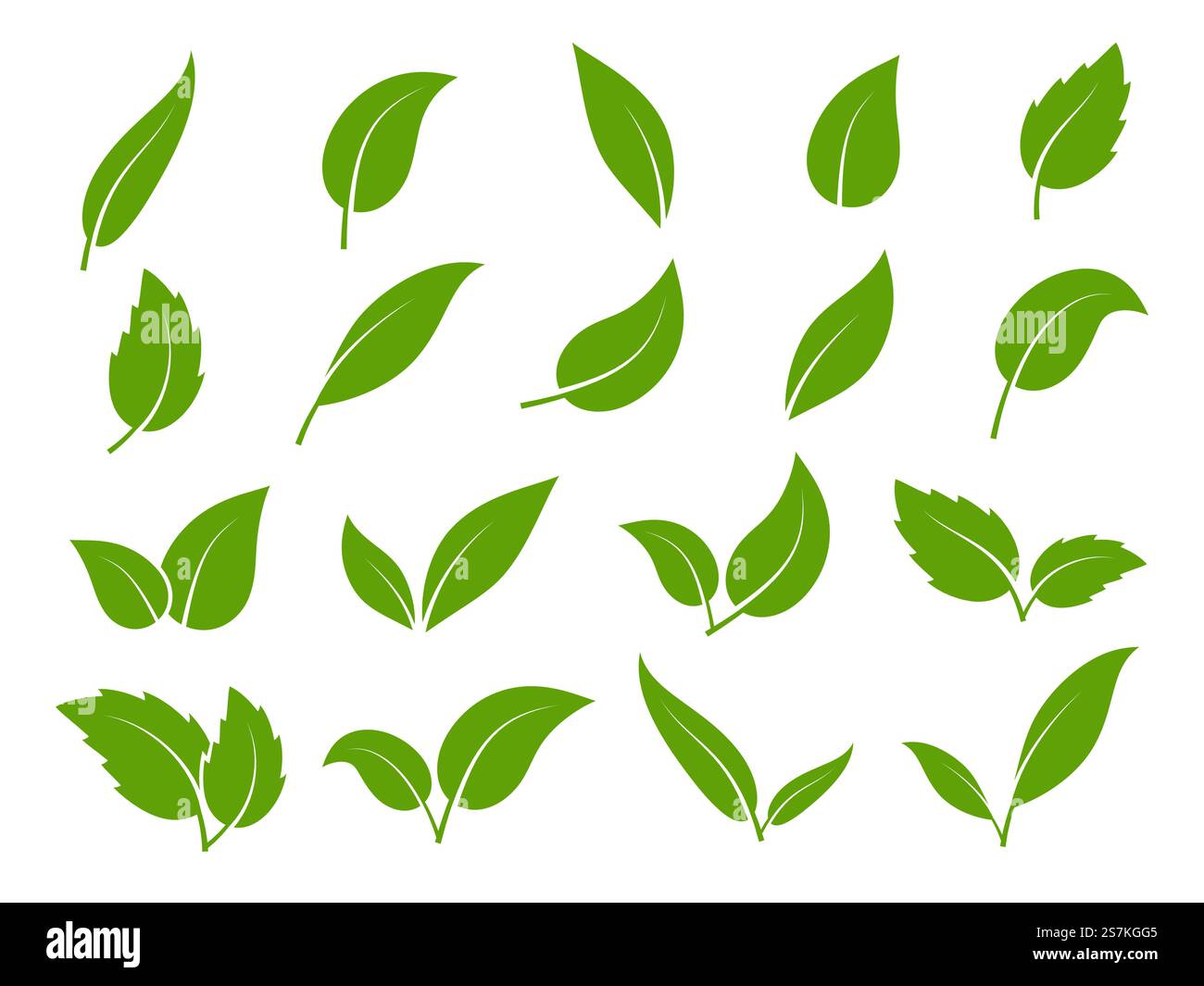 Leaf-Symbol. Grüne Blätter von Bäumen und Pflanzen, verschiedene Formen. Öko veganer Spross oder Bio Laub isolierte Elemente Vektor Set. Leaf-Symbol. Grüne Blätter von Bäumen und Pflanzen, verschiedene Formen. ECO veganer Spross oder Bio Laub Elemente Vektor Set Stock Vektor
