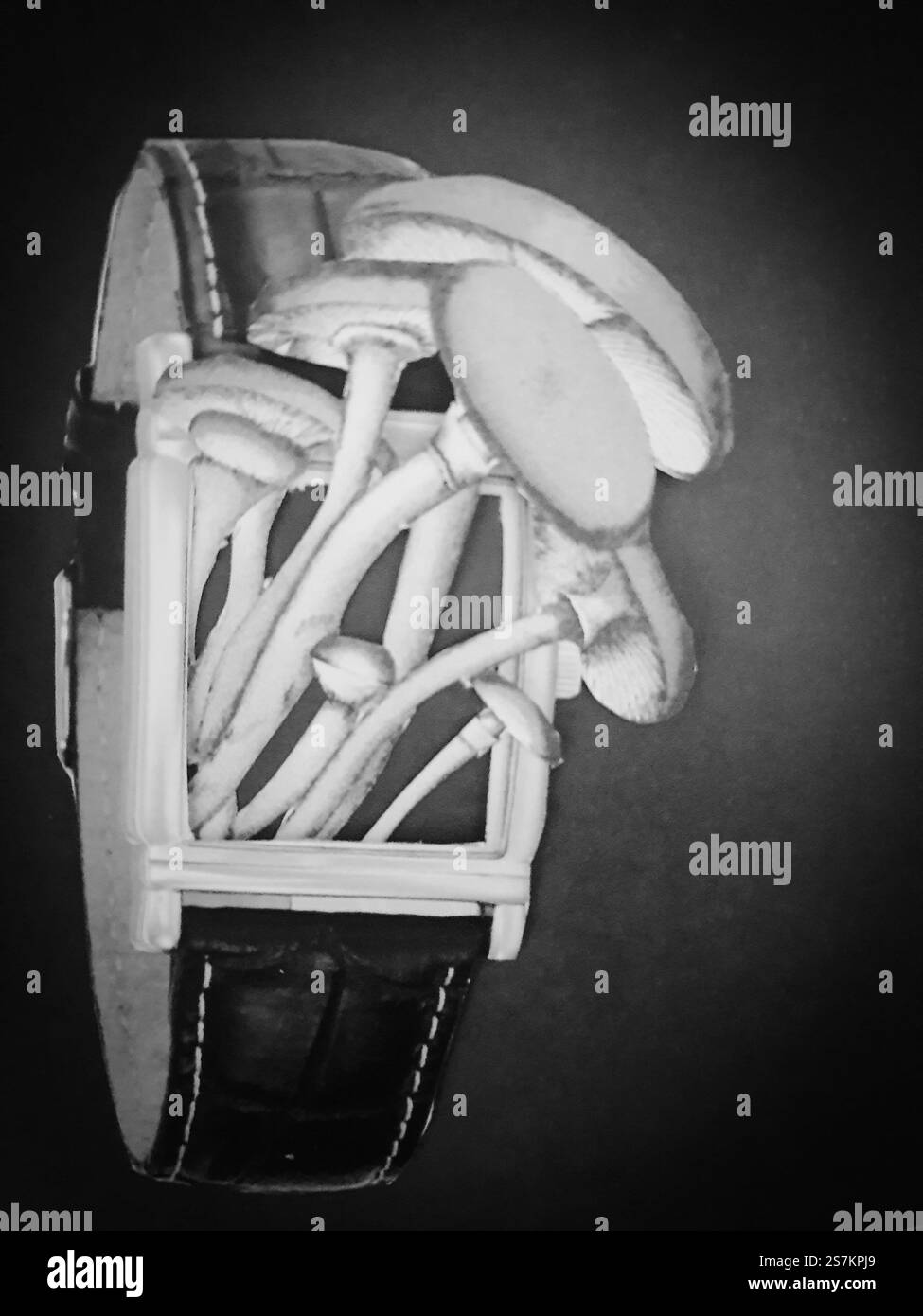 Konzeptuelle Collage-Kunst einer Armbanduhr mit Pilz Stockfoto