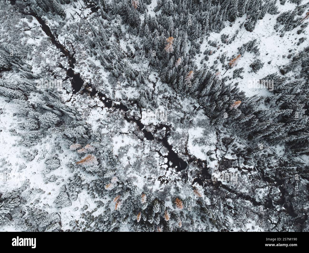 Aus der Vogelperspektive auf den South Fork des Coeur d'Alene River am Lookout Pass, der Staatsgrenze von Idaho-Montana Stockfoto
