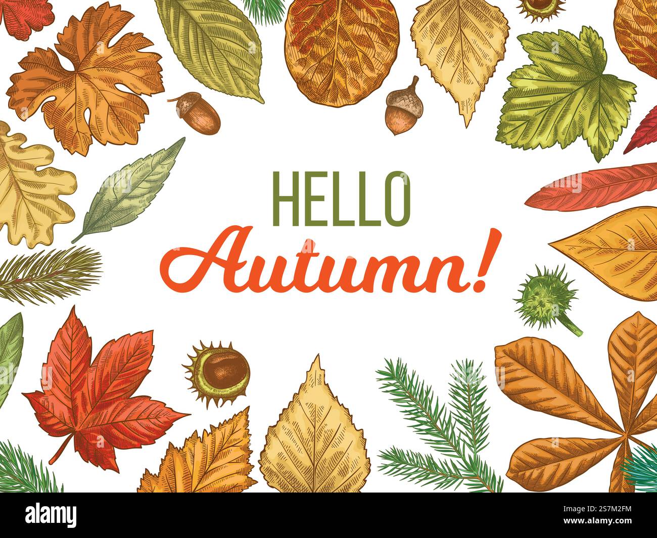 Herbstlaub. Hand gezeichnet verschiedene bunte Herbstlaub Bäume im Kreis, Skizze gefallene Kastanie, Ahornblatt mit Eichel und Hallo Herbst für Promo Poster oder Banner Vektor Hintergrund. Herbstlaub. Hand gezeichnet verschiedene Herbstlaub Bäume, skizzieren gefallenes Blatt und Hallo Herbst für Promo Poster oder Banner Vektor Hintergrund. Stock Vektor