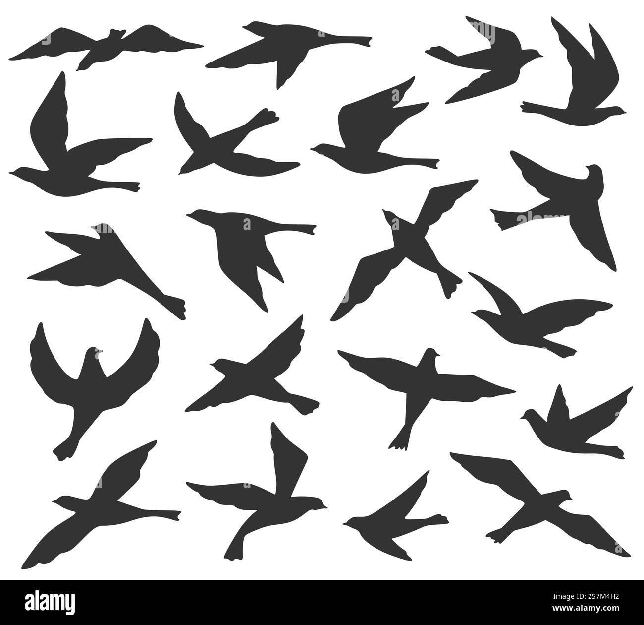 Vogelsilhouetten. Fliegende Vögel schwärmen, Tiere wandern, Tauben schweben in den Himmel. Schwarze Tätowierungsvorlagen Vektorsatz. Tauben in verschiedenen Positionen Sammlung isoliert auf weißer Illustration. Vogelsilhouetten. Fliegende Vögel schwärmen, Tiere wandern, Tauben schweben in den Himmel. Schwarze Tätowierungsvorlagen Vektorsatz Stock Vektor