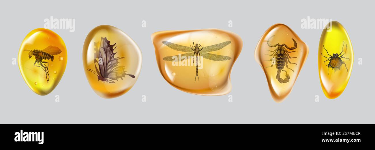 Setzen Sie bernsteinfarbenen Stein mit Insekten isoliert auf weißem Hintergrund. Sammlung alter und moderner Insekten, gefroren in Bernstein. Felgenharz für die Konstruktion. Edelstein oder Mineralblase. Abbildung des Materialvektors... Setzen Sie bernsteinfarbenen Stein mit Insekten isoliert auf weißem Hintergrund. Sammlung alter und moderner Insekten, gefroren in Bernstein. Felgenharz für die Konstruktion. Edelstein oder Mineralblase. Abbildung des Materialvektors Stock Vektor