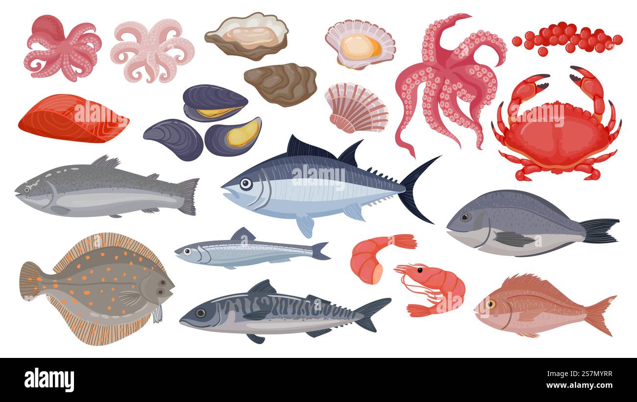 Frischer roher Ozean und Meeresfisch, Thunfisch, Lachs und Hering. Cartoon Meeresfrüchte, Garnelen, Muscheln, Jakobsmuscheln, Austern und Kaviar, Muschelvektorsatz. Meeresprodukte für kulinarische Zwecke im Restaurant oder Café Stock Vektor