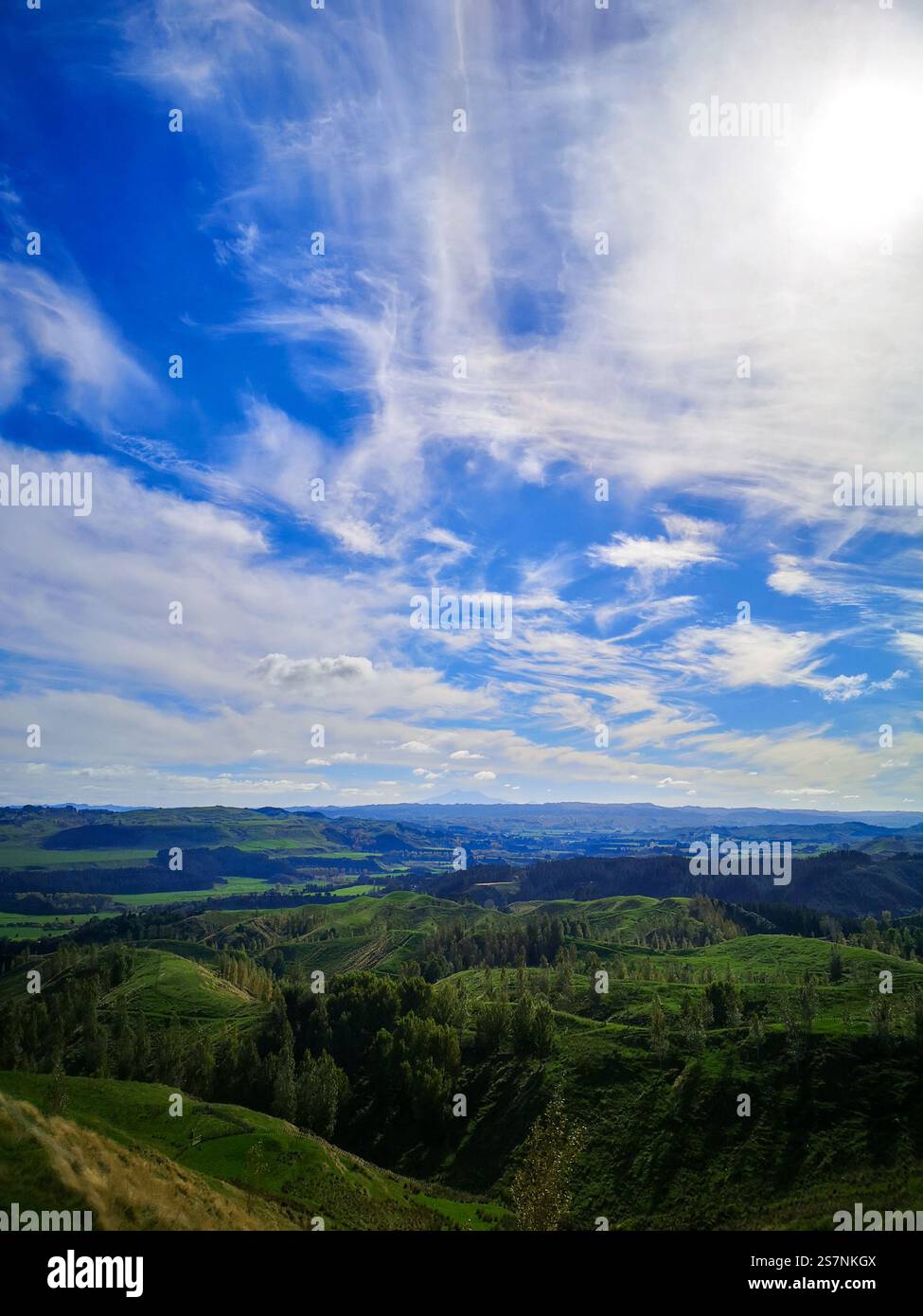 Ein malerischer Blick auf die Gegend von Wairarapa Stockfoto